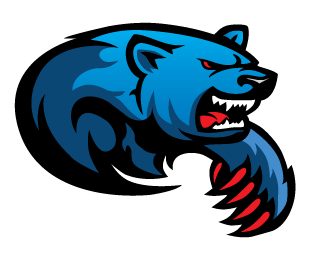 Bears Bears