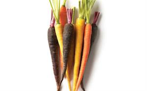 Rainbow Baby Carrots